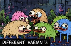 DONK: Different variants